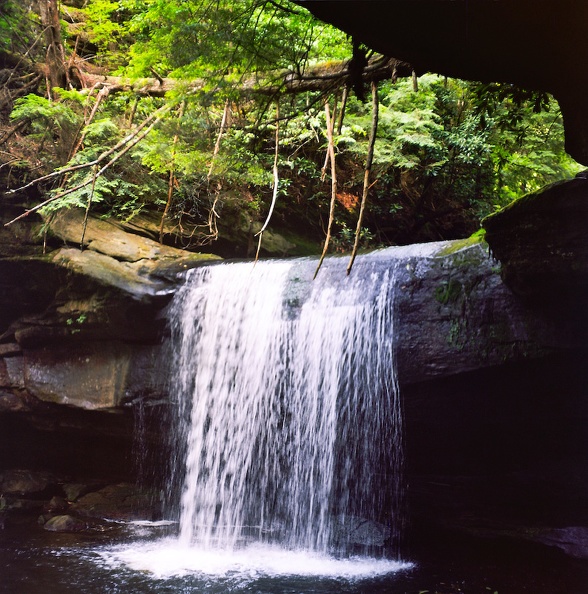 05_Cumberland Falls in June_ 2010.jpg